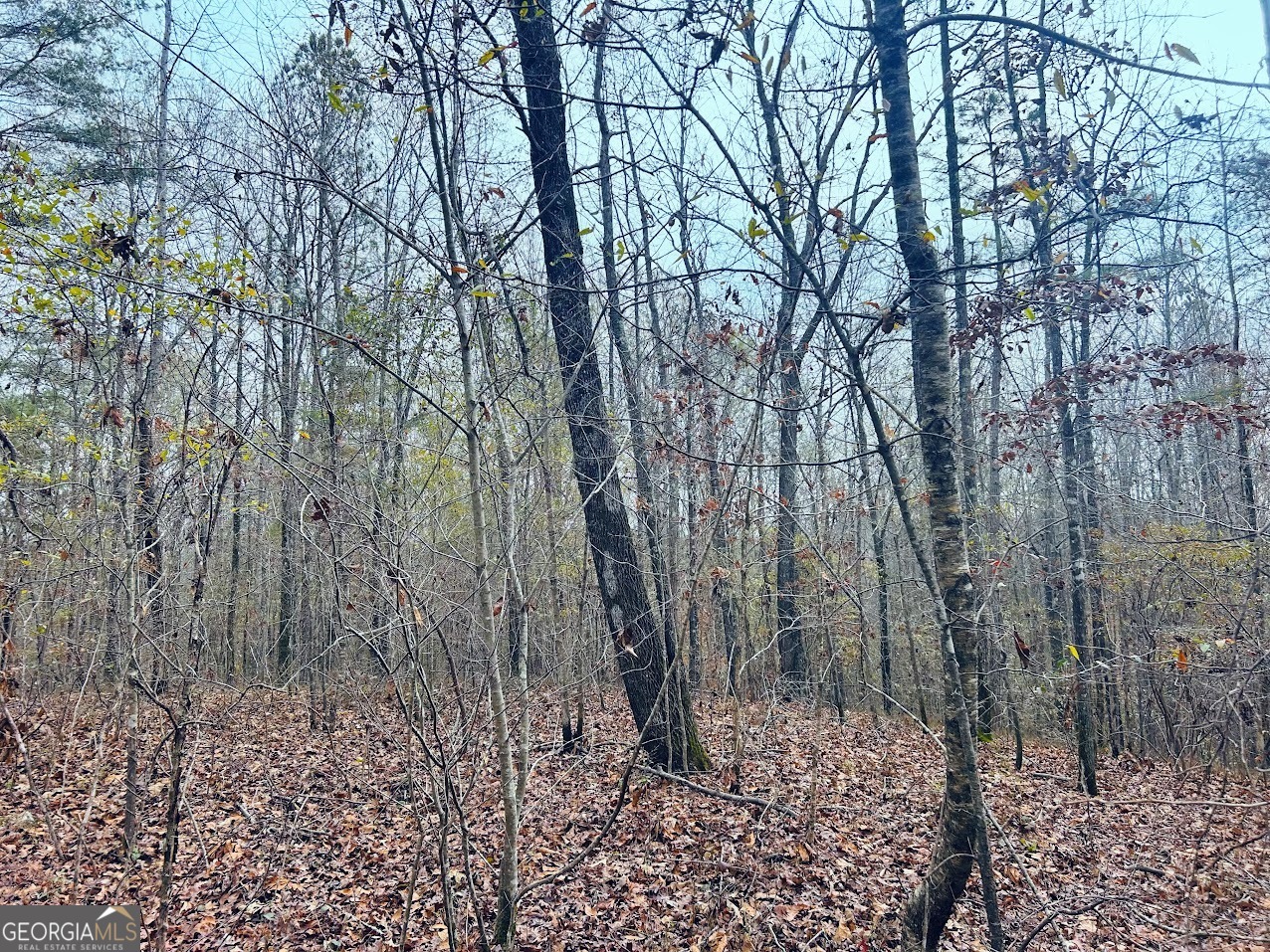0 Cheaha Road, Unit LOT 6 Munford, AL 36268 - Photo 34 of 37 a view of a yard with large trees