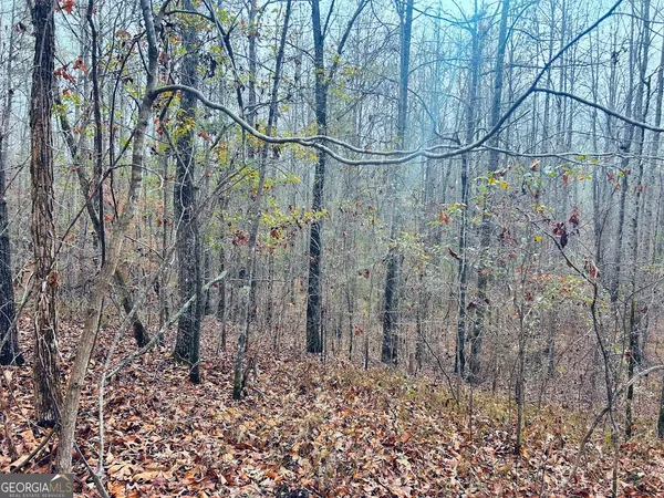 $123,112 | 0 Cheaha Road, Unit LOT 6, Munford, AL 36268