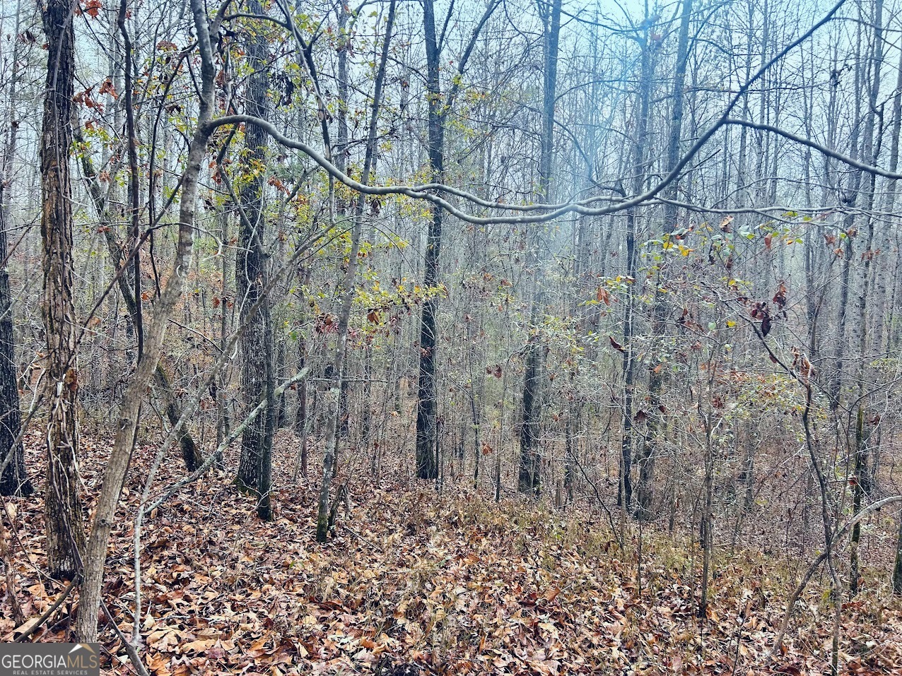 0 Cheaha Road, Unit LOT 6 Munford, AL 36268 - Photo 36 of 37 a backyard of a house with lots of green space