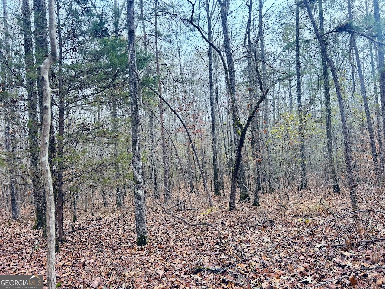 0 Cheaha Road, Unit LOT 6 Munford, AL 36268 - Photo 37 of 37 a backyard of a house with lots of green space