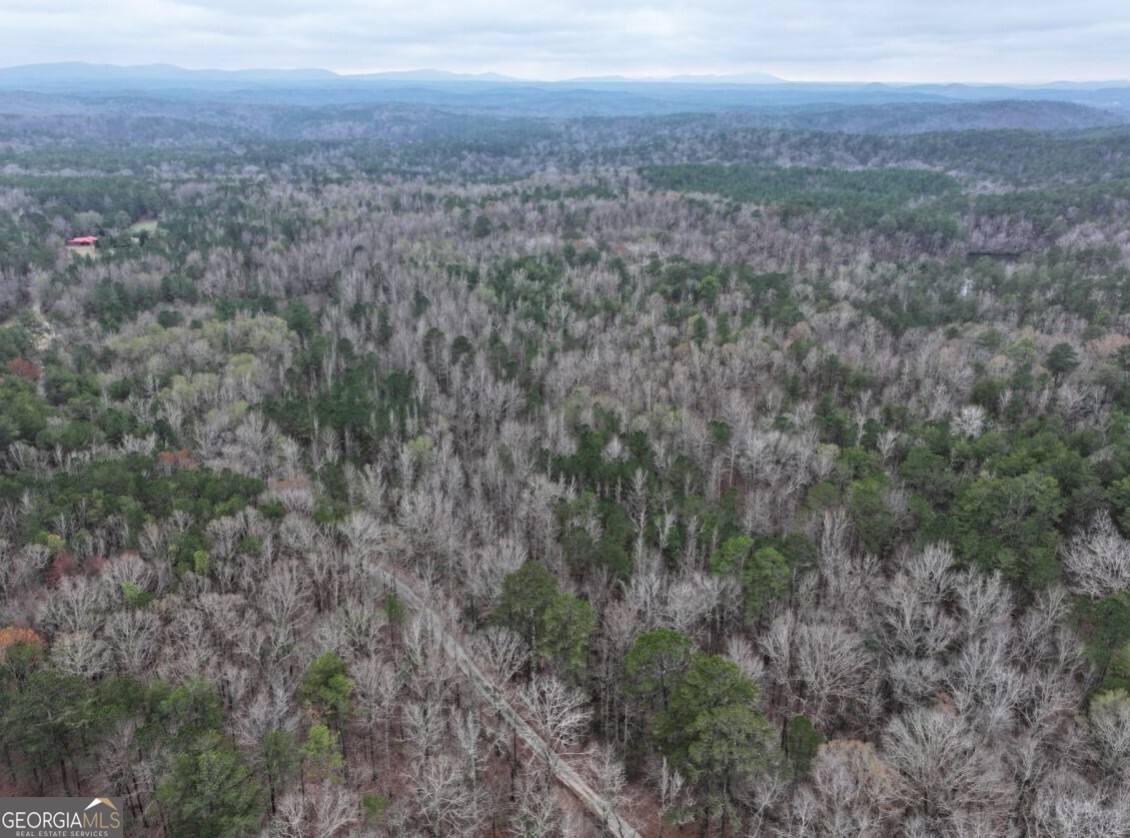 0 Cheaha Road, Unit LOT 6 Munford, AL 36268 - Photo 4 of 37 a view of a field with trees in background