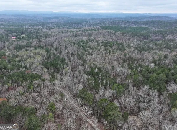 a view of city and green space