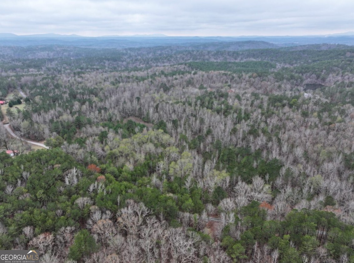 0 Cheaha Road, Unit LOT 6 Munford, AL 36268 - Photo 6 of 37 a view of city and green space