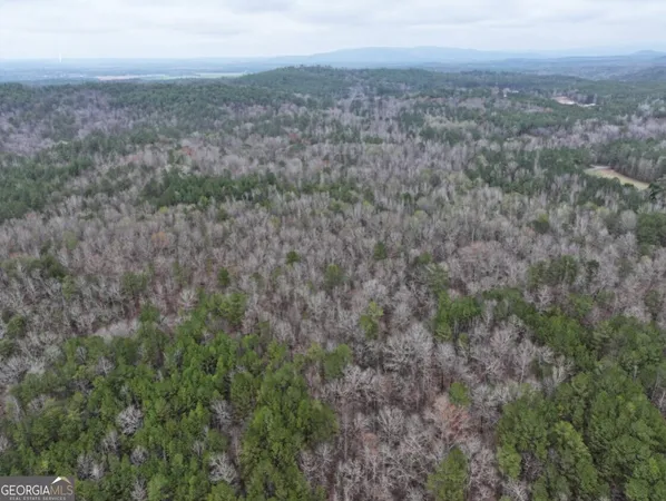 a view of a big yard with lots of trees