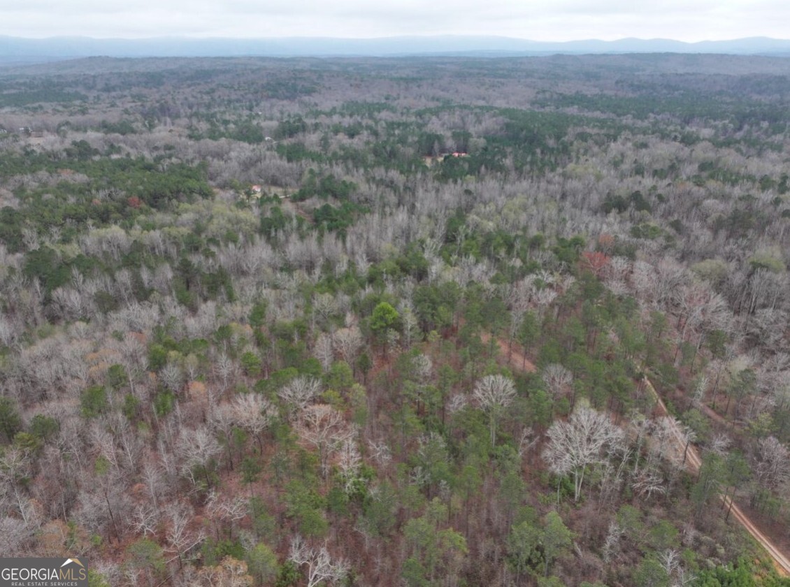 0 Cheaha Road, Unit LOT 6 Munford, AL 36268 - Photo 9 of 37 a view of a field