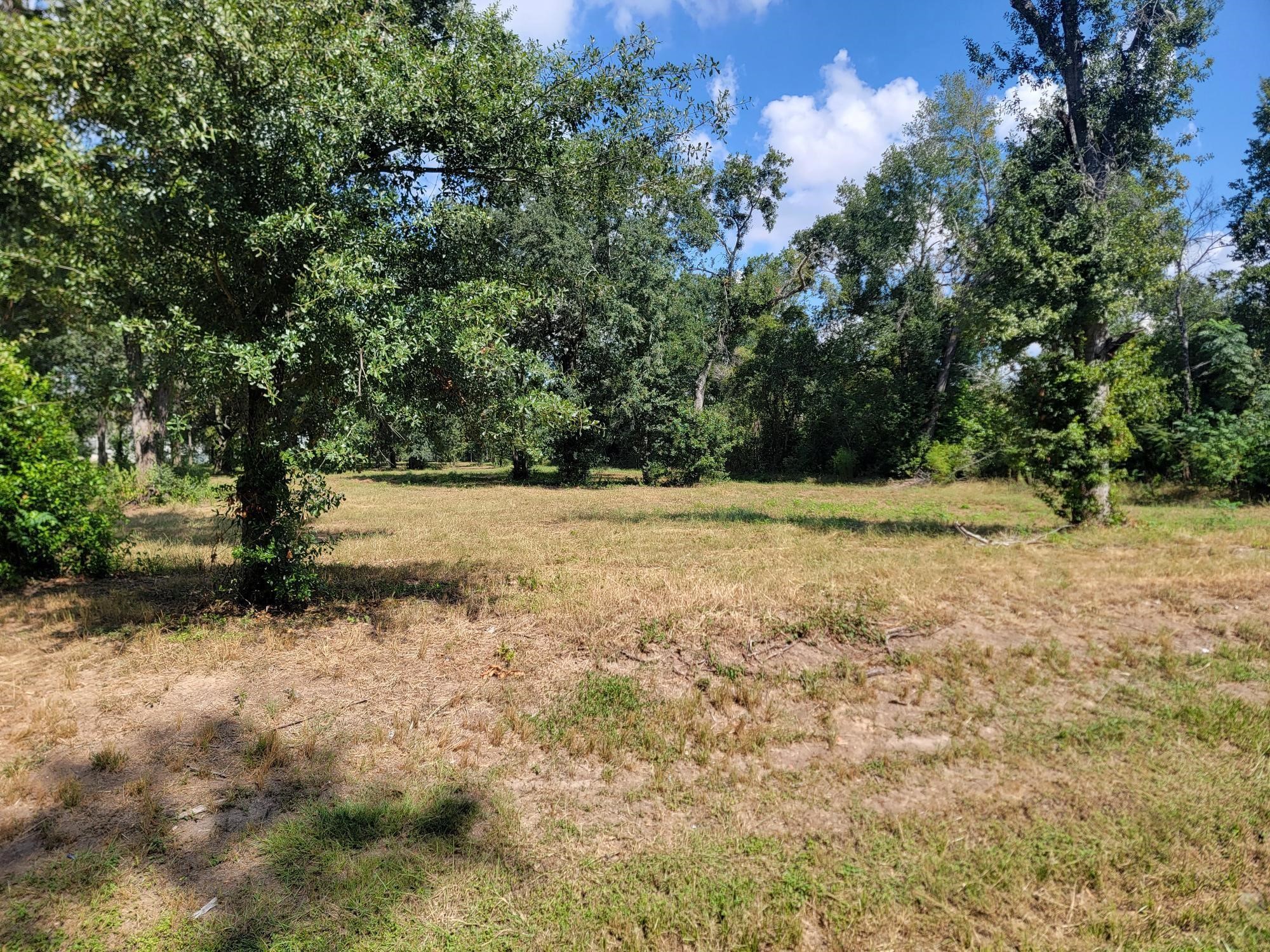 0 11th Street Katy, TX 77493 - Photo 3 of 6 a view of a yard with a tree