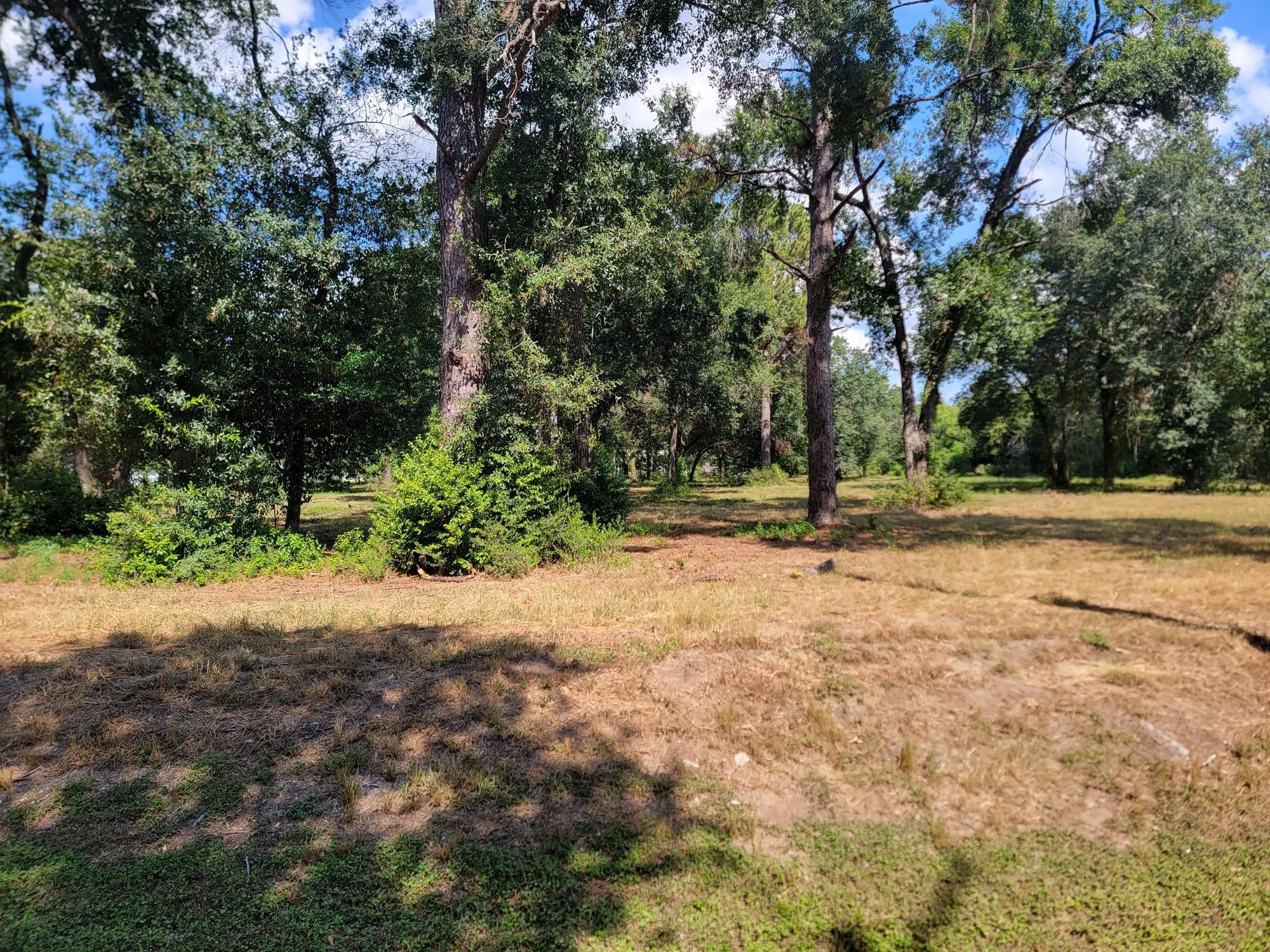 0 11th Street Katy, TX 77493 - Photo 4 of 6 a view of outdoor space with trees