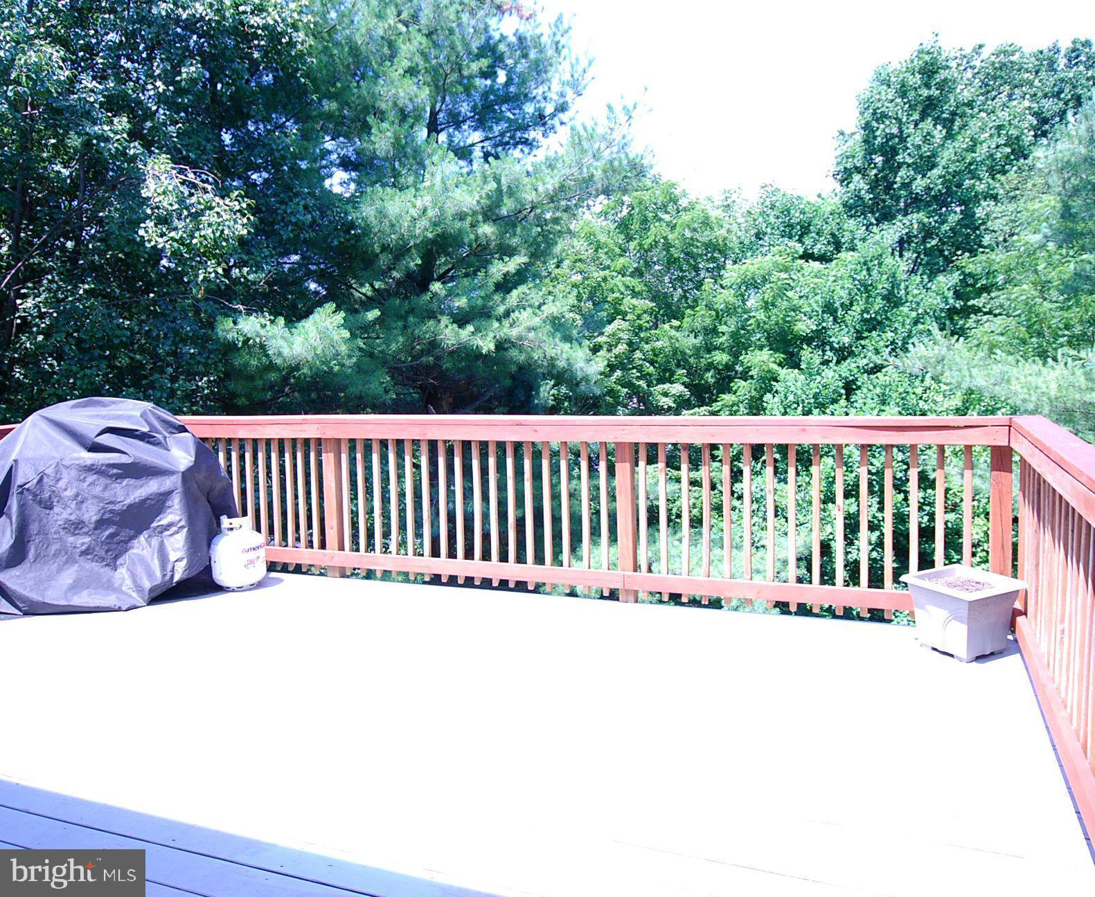 25740 Woodfield Road Damascus, MD 20872 - Photo 14 of 30 Deck