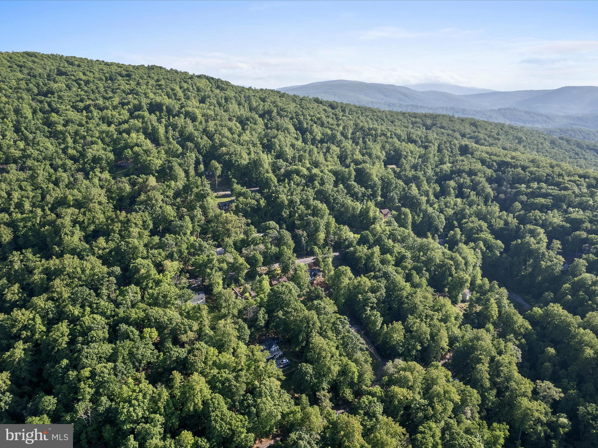 439 Windy Way Front Royal, VA 22630 - Photo 35 of 40 a view of a green field with lots of bushes