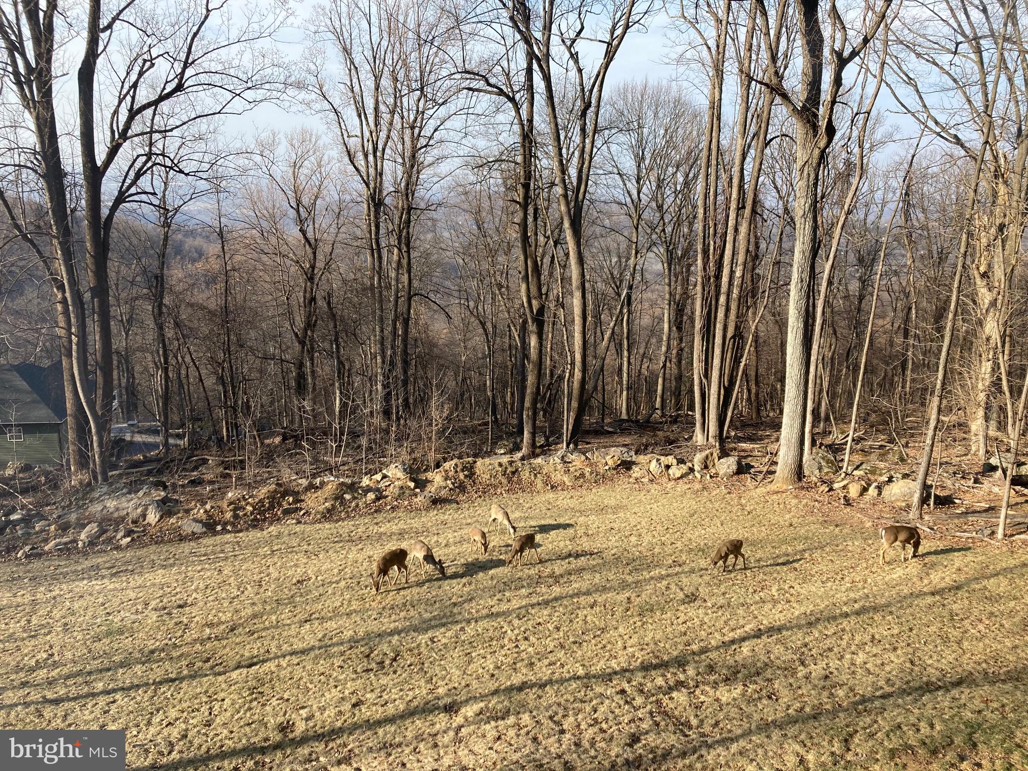 439 Windy Way Front Royal, VA 22630 - Photo 38 of 40 a view of a backyard of the house