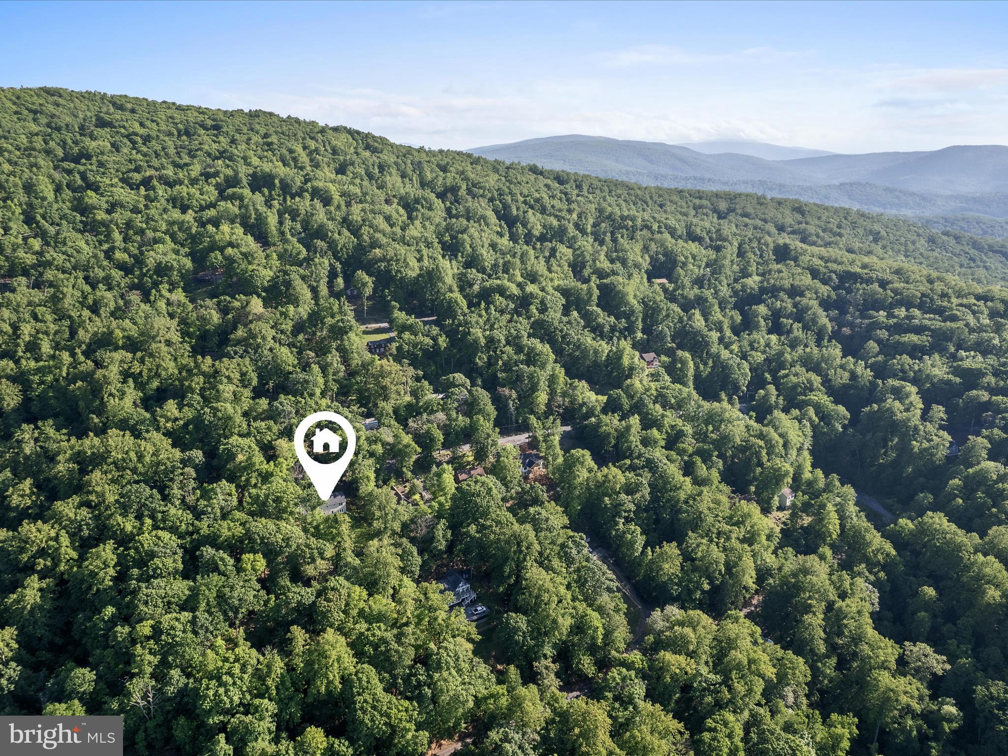 439 Windy Way Front Royal, VA 22630 - Photo 7 of 40 a view of a bunch of trees and bushes
