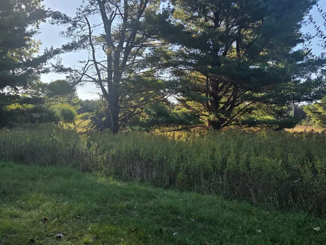 $5,000 | 11517 Pine Crest Drive, Stanwood, MI 49346