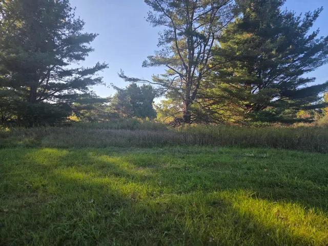 $5,000 | 11517 Pine Crest Drive, Stanwood, MI 49346