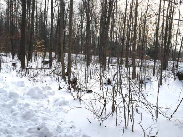0 South Sullivan Road Muskegon, MI 49442 - Photo 4 of 8 6