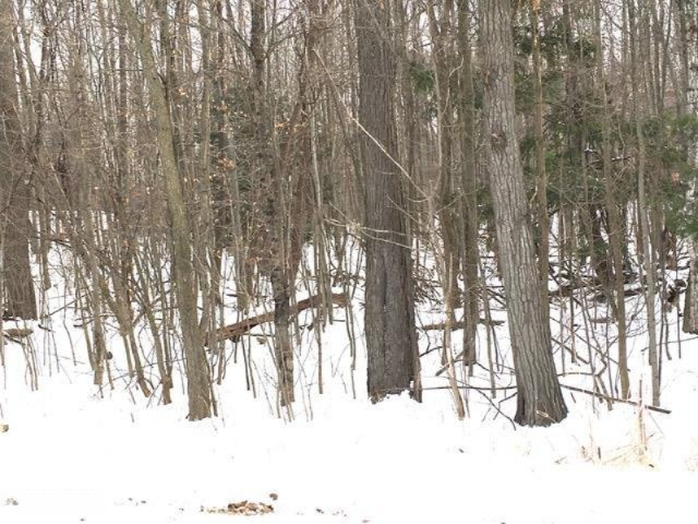 0 South Sullivan Road Muskegon, MI 49442 - Photo 8 of 8 9