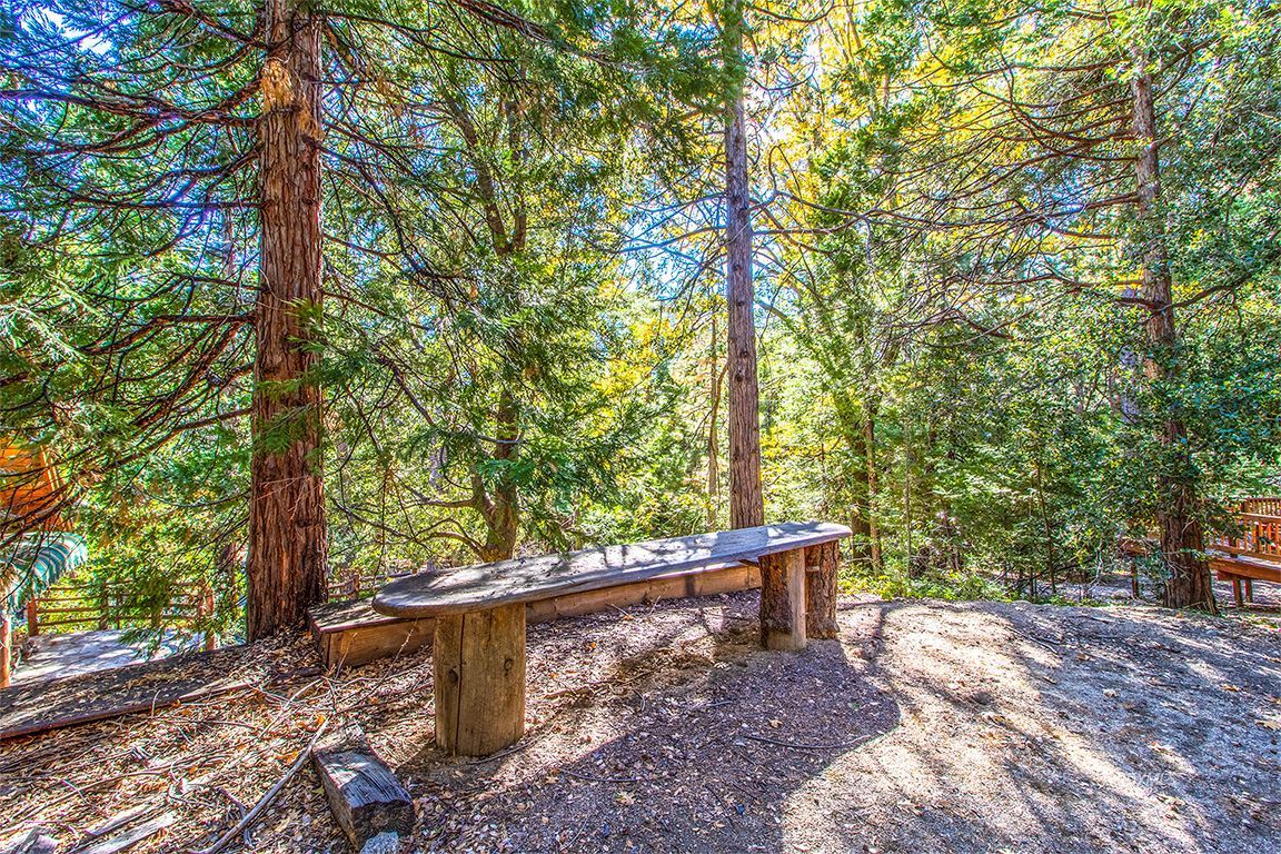 24810 Indian Rock Road Idyllwild, CA 92549 - Photo 54 of 62 Untitled