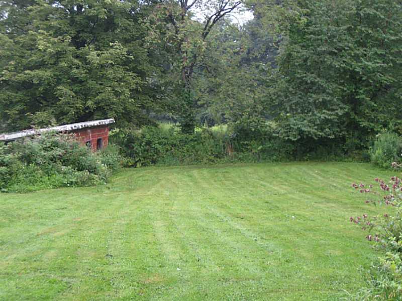 248 Patton Road Sandy Lake, PA 16145 - Photo 6 of 10 Land. Backyard by chicken coop.