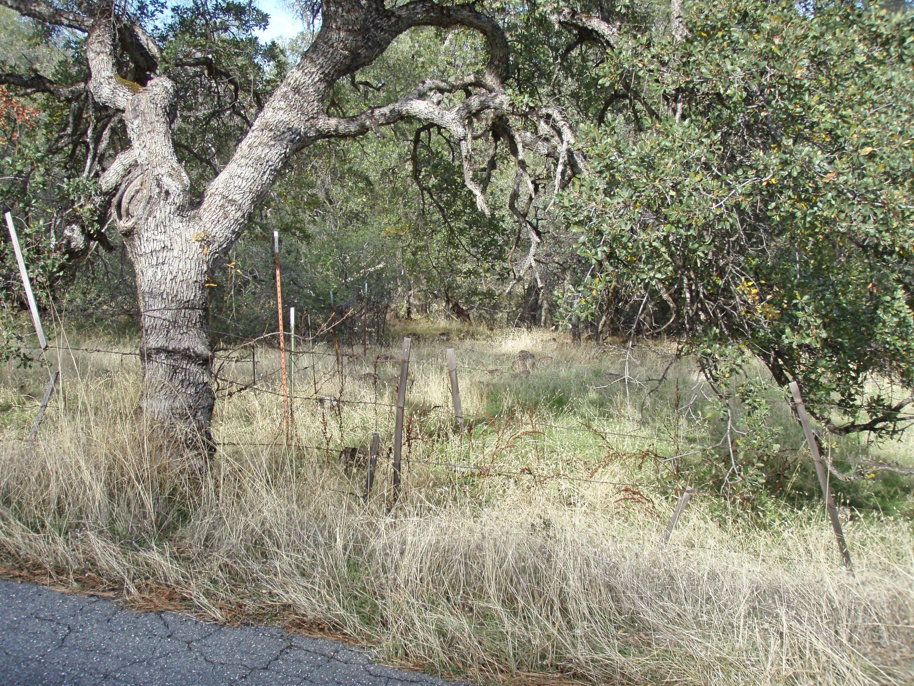 37-acres Wildcat Road Shingletown, CA 96088 - Photo 12 of 17 Approx SW corner