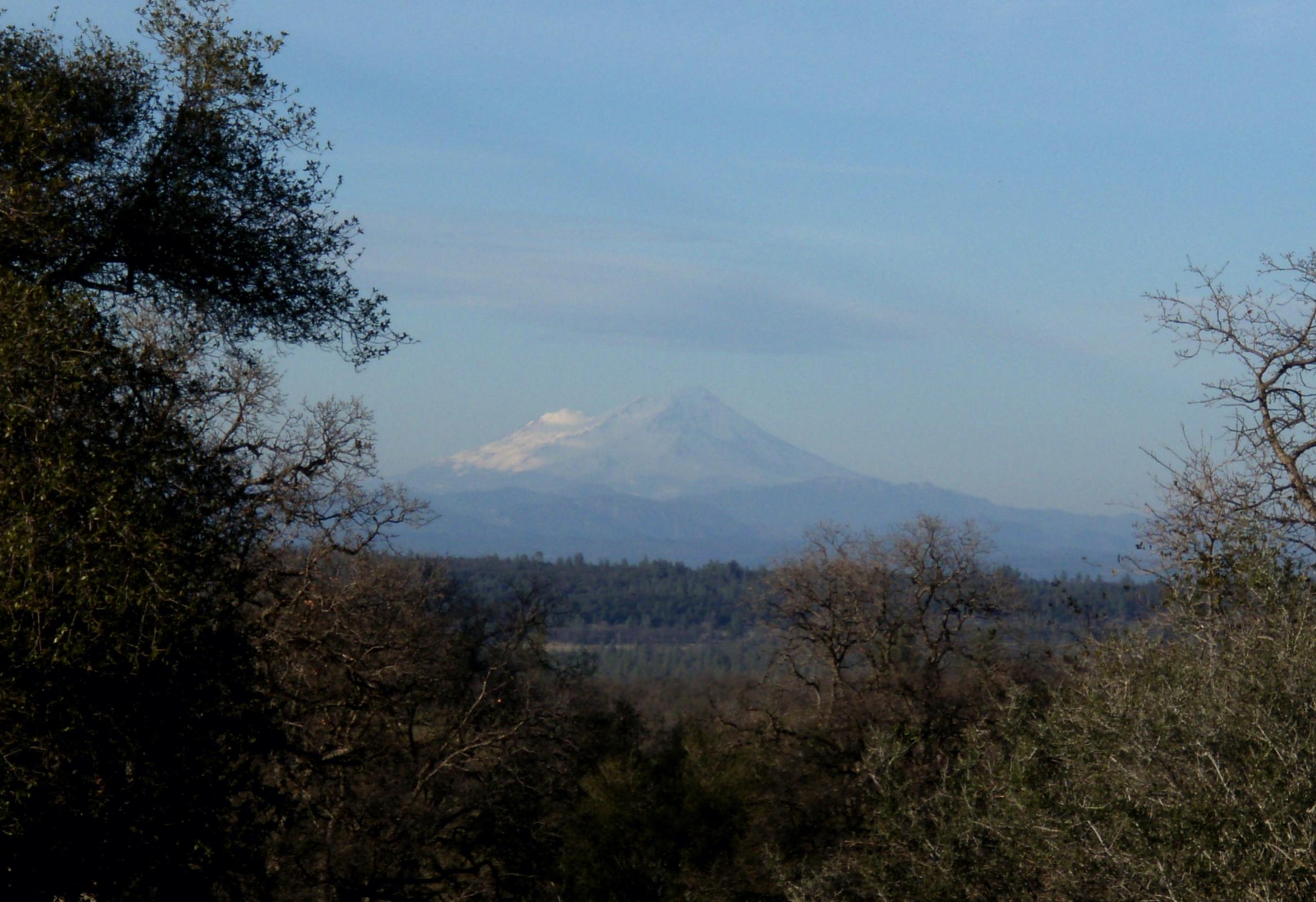 37-acres Wildcat Road Shingletown, CA 96088 - Photo 4 of 17 Nice Mt Shasta view