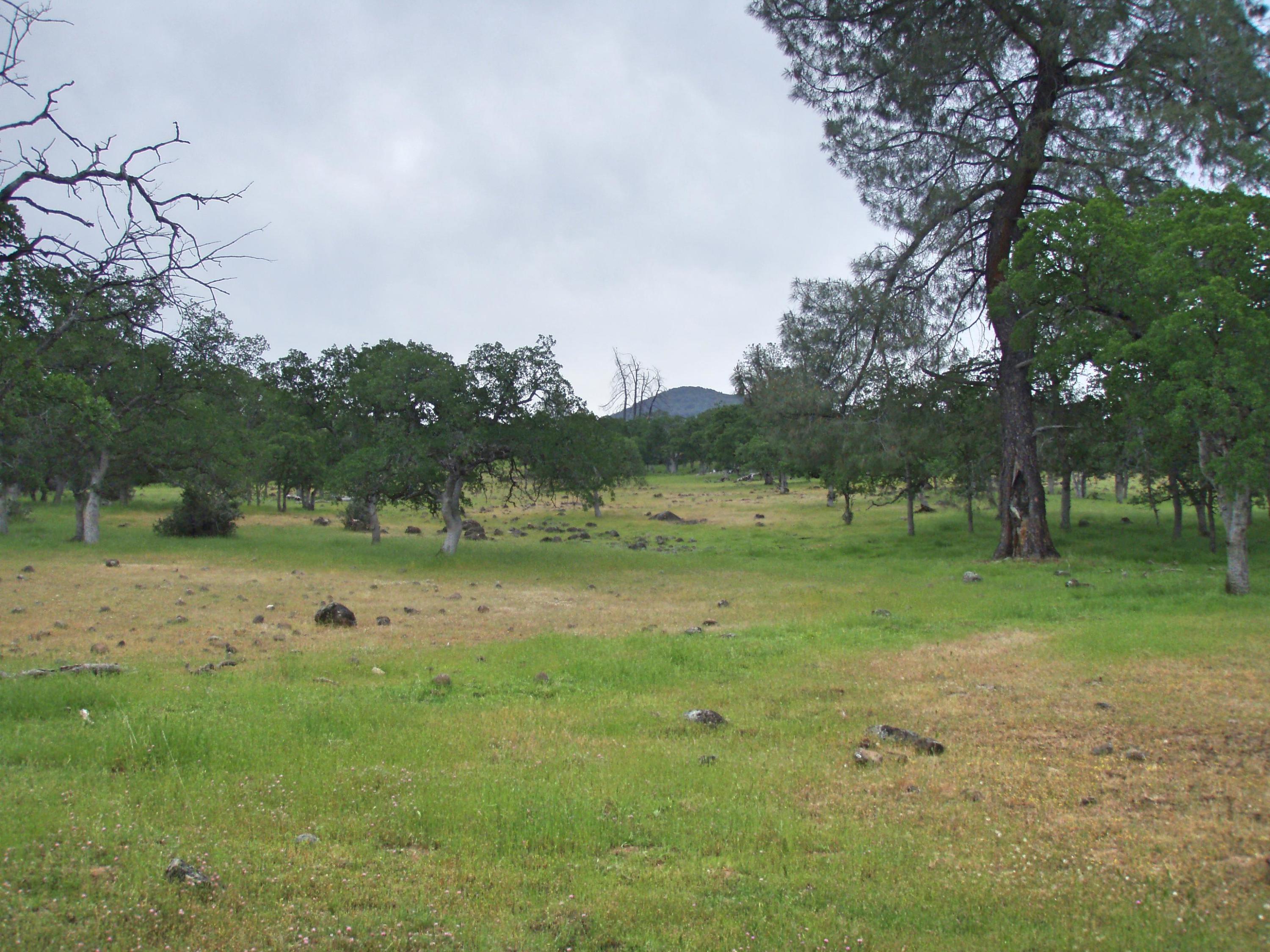 37-acres Wildcat Road Shingletown, CA 96088 - Photo 5 of 17 View of Black Butte