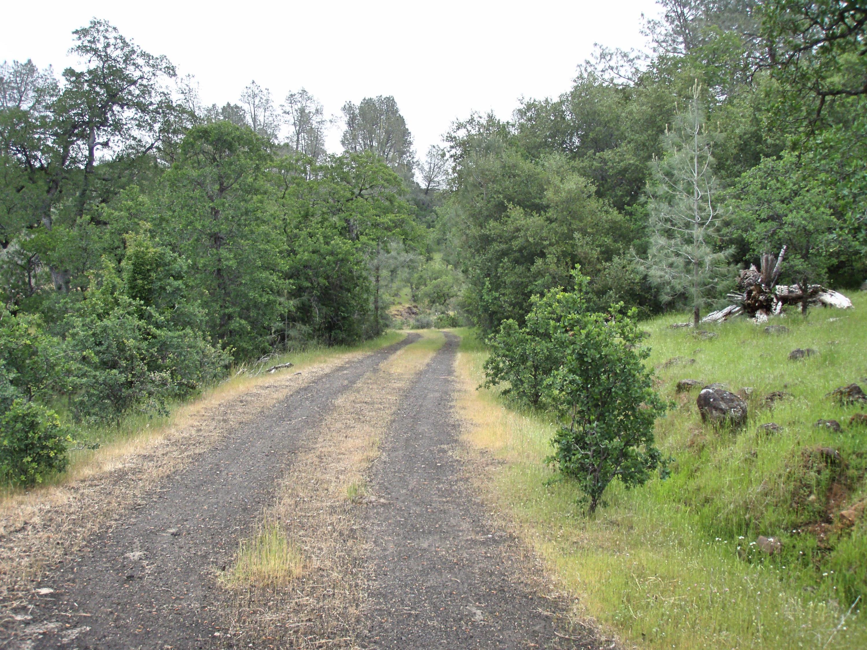 37-acres Wildcat Road Shingletown, CA 96088 - Photo 6 of 17 Cinder road thru property