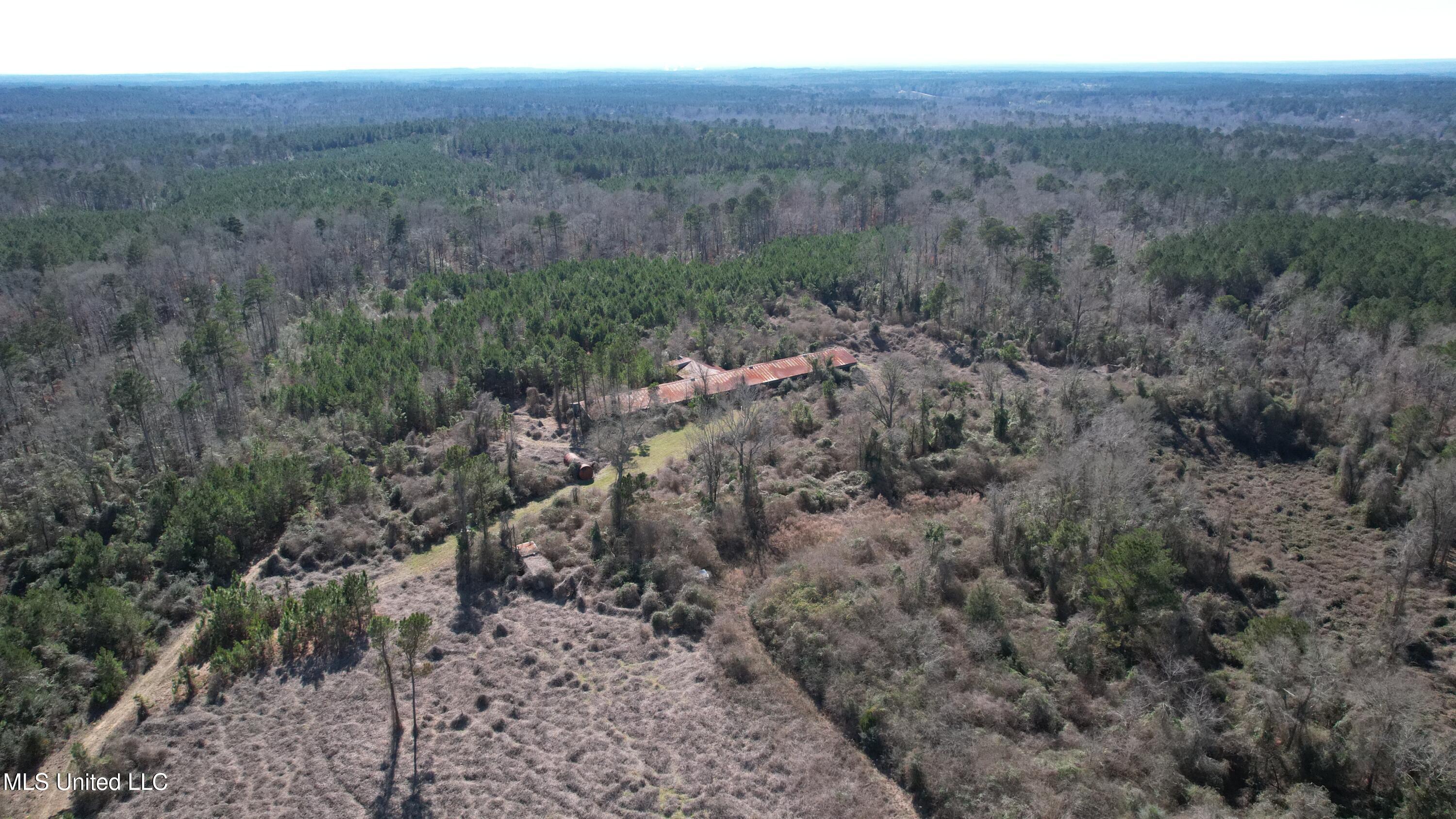 Crooked Creek Road Newhebron, MS 39140 - Photo 11 of 26 DJI_0115
