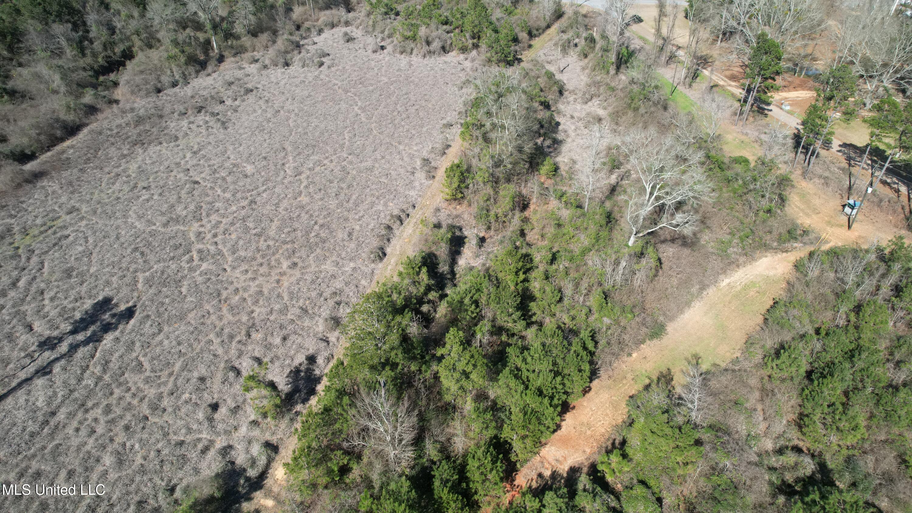 Crooked Creek Road Newhebron, MS 39140 - Photo 12 of 26 DJI_0118