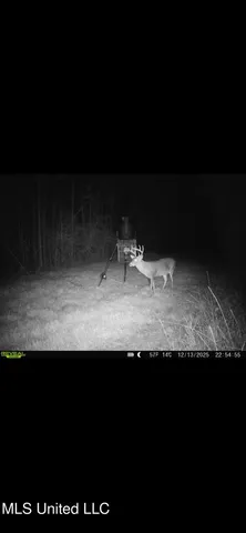 $345,000 | Crooked Creek Road, Newhebron, MS 39140