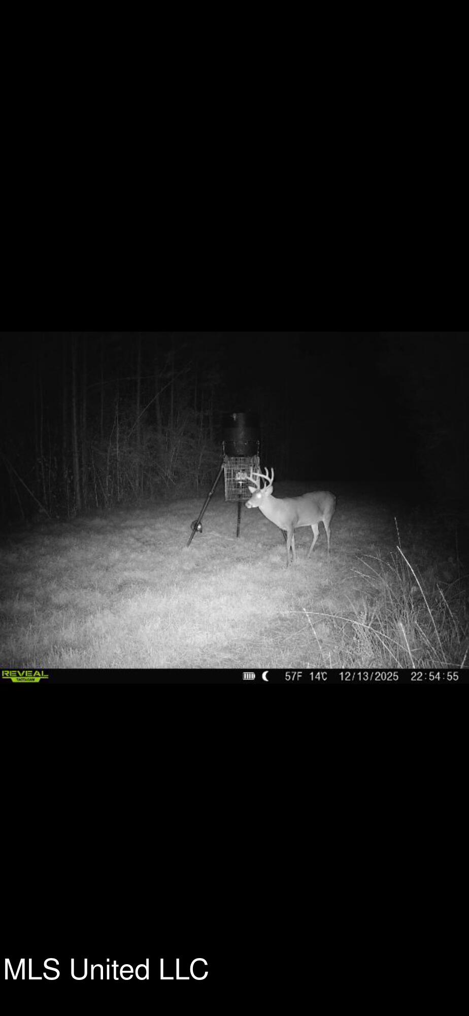 Crooked Creek Road Newhebron, MS 39140 - Photo 14 of 26 IMG_7210