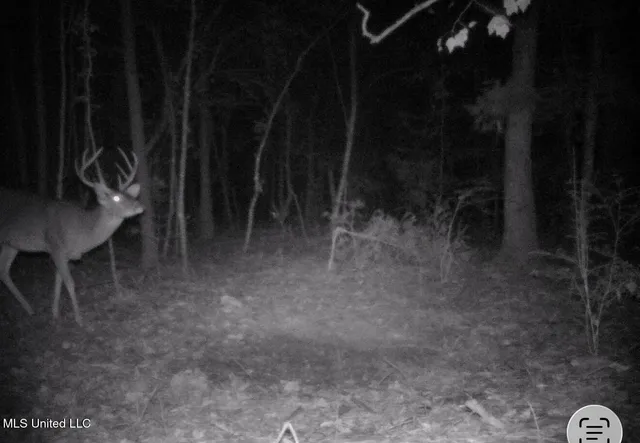 $345,000 | Crooked Creek Road, Newhebron, MS 39140