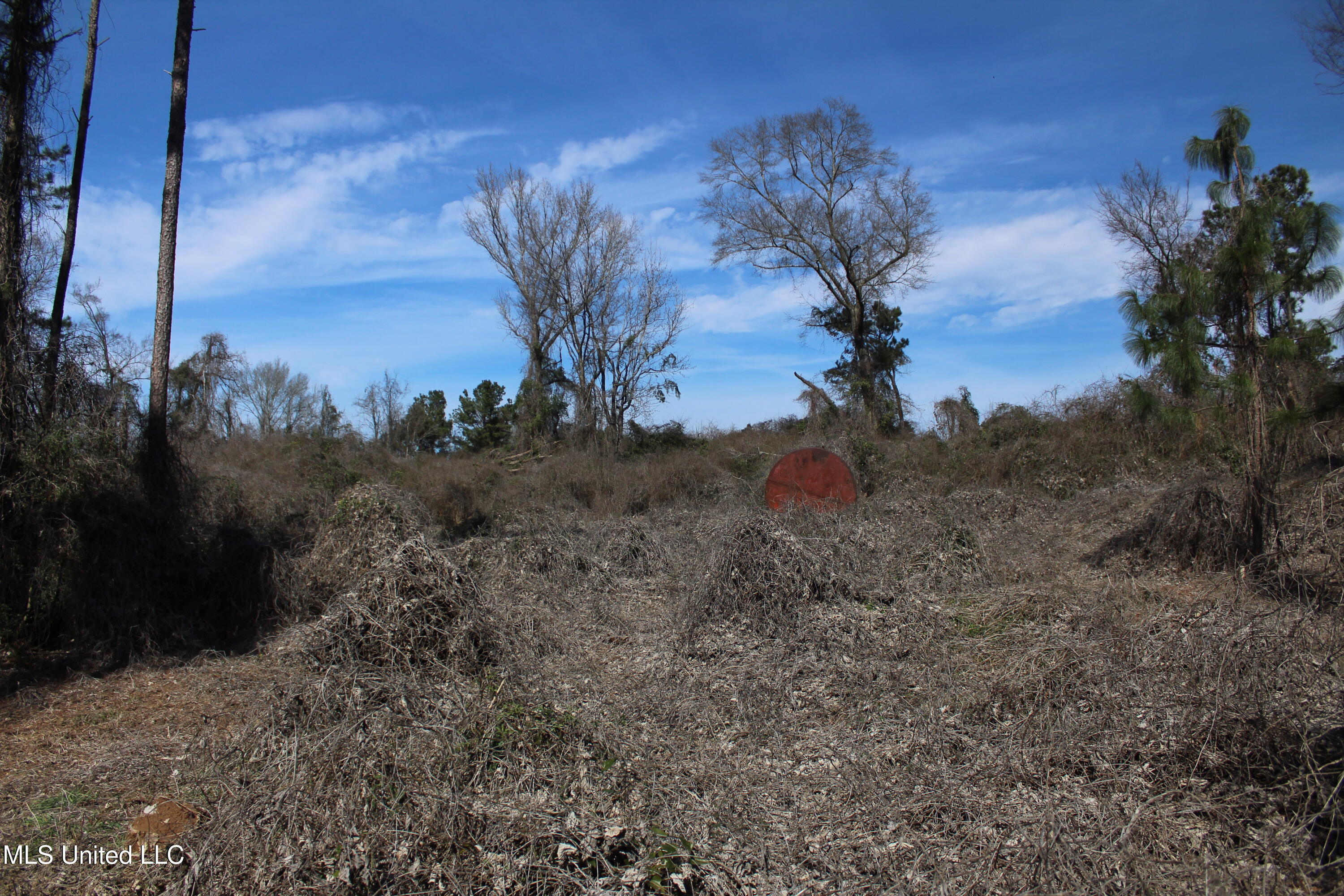 Crooked Creek Road Newhebron, MS 39140 - Photo 17 of 26 IMG_9636