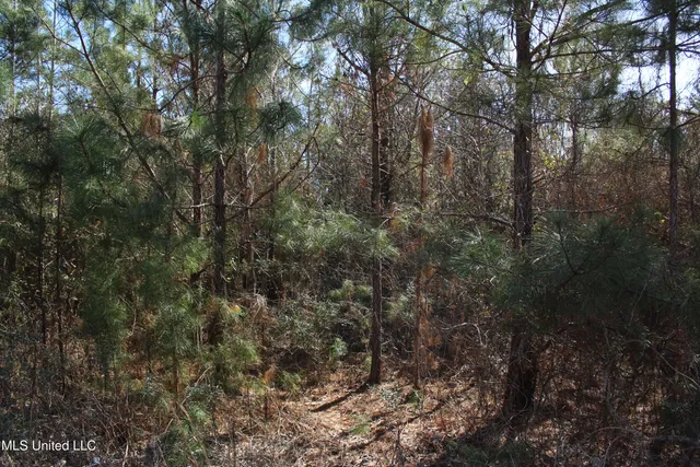 $345,000 | Crooked Creek Road, Newhebron, MS 39140