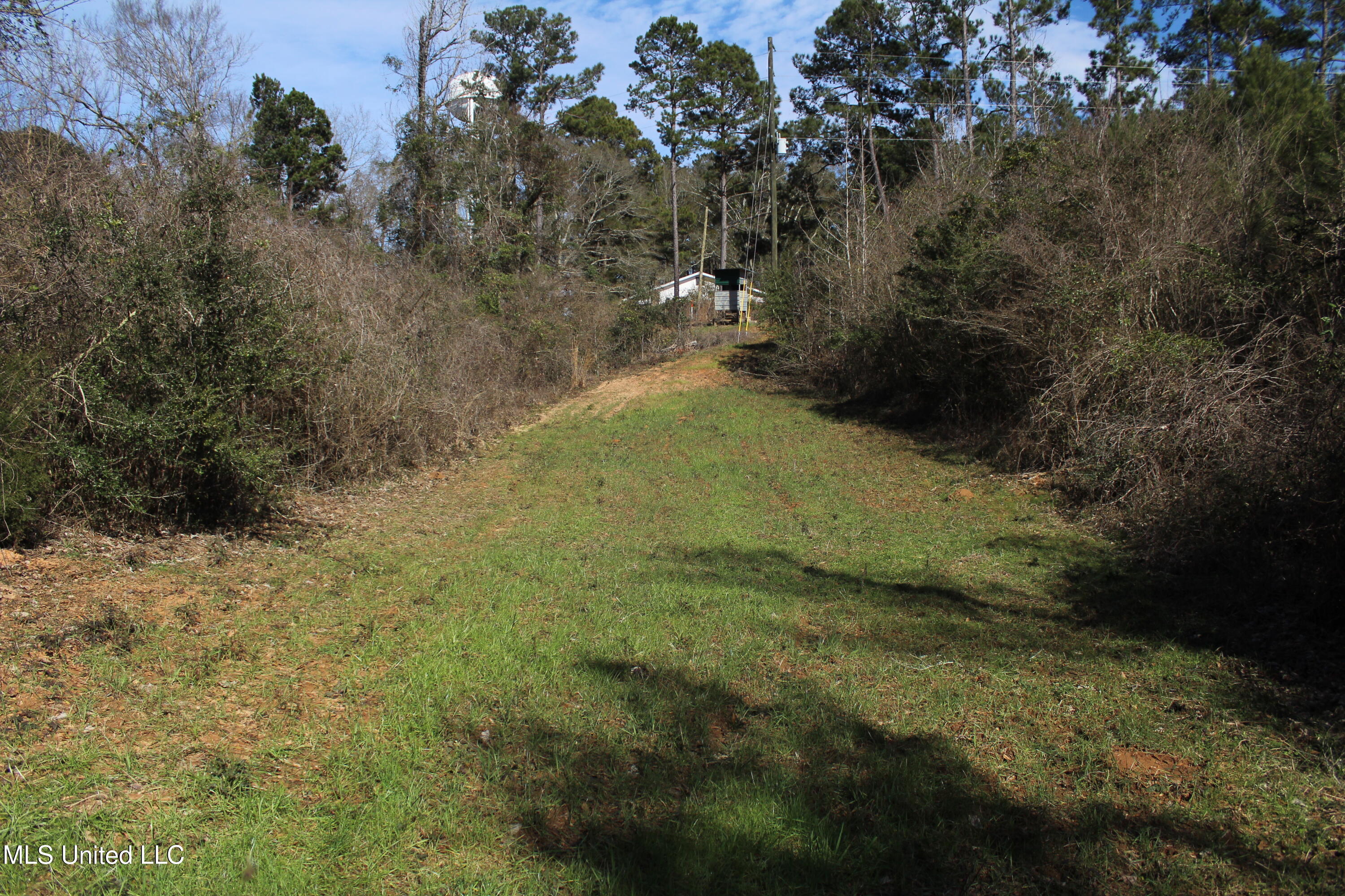 Crooked Creek Road Newhebron, MS 39140 - Photo 19 of 26 IMG_9643