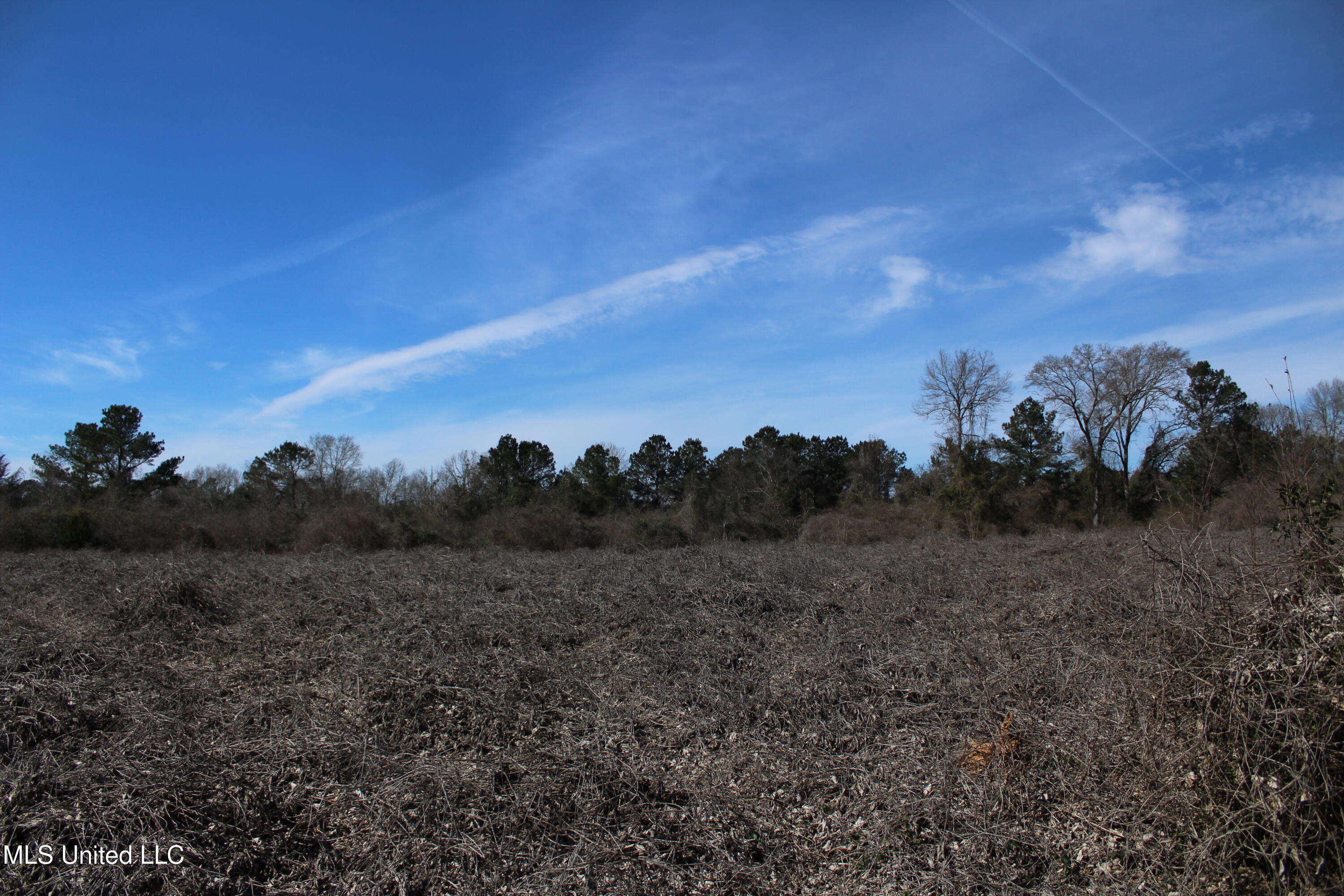 Crooked Creek Road Newhebron, MS 39140 - Photo 20 of 26 IMG_9638