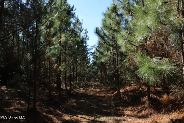 $345,000 | Crooked Creek Road, Newhebron, MS 39140