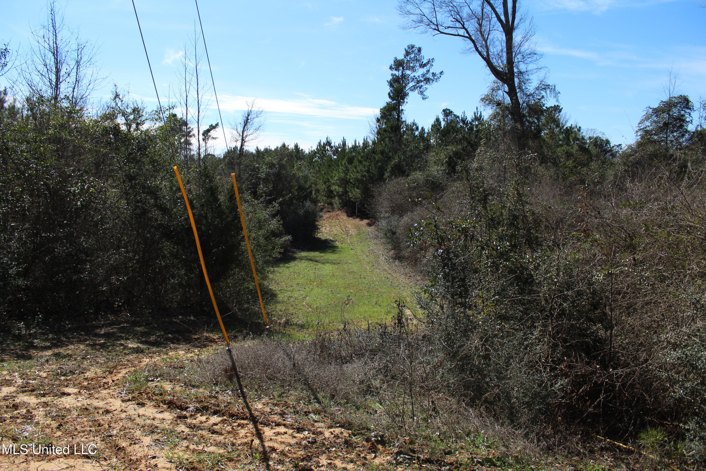 Crooked Creek Road Newhebron, MS 39140 - Photo 23 of 26 IMG_9642