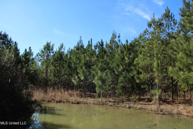 $345,000 | Crooked Creek Road, Newhebron, MS 39140