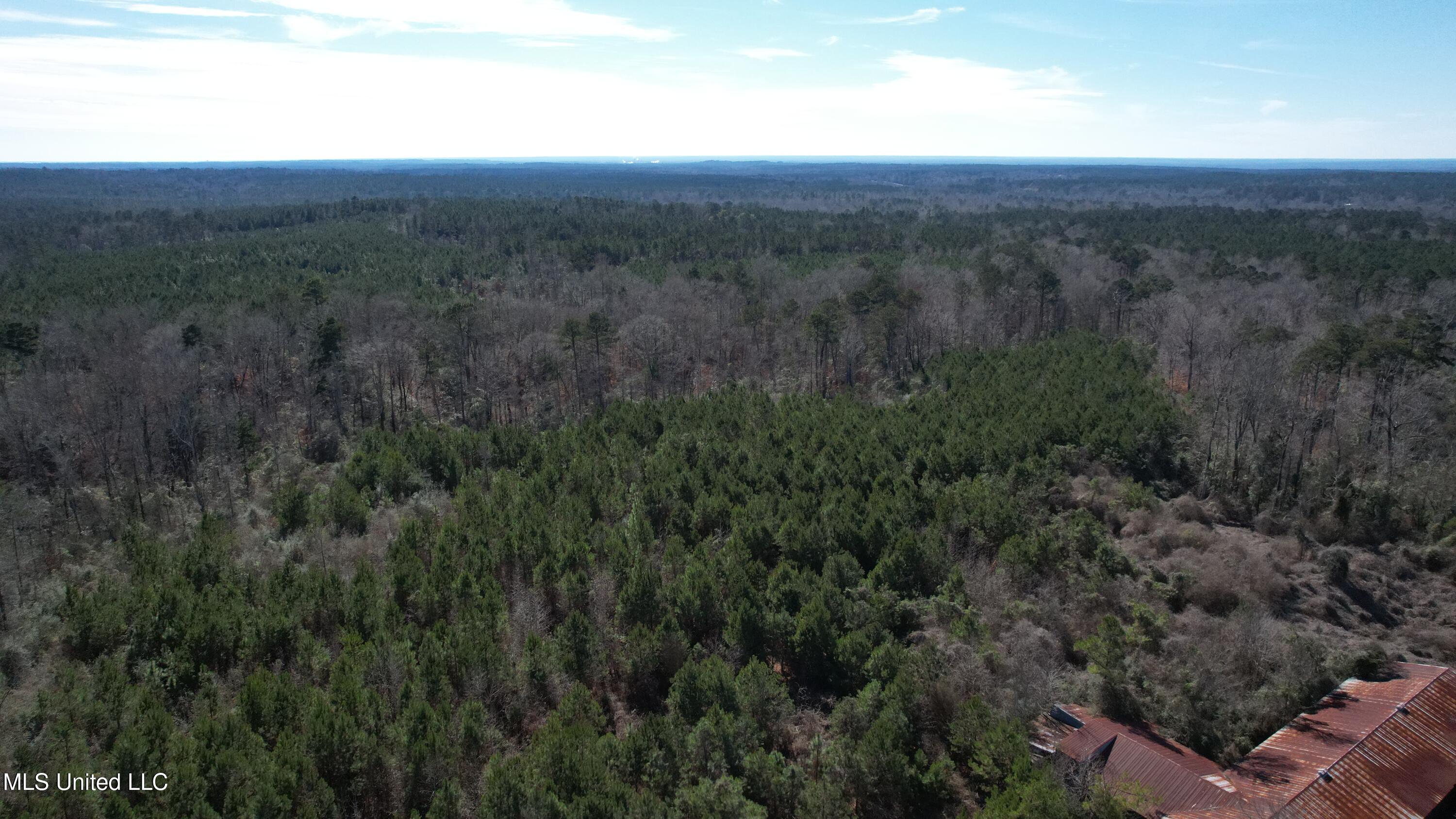 Crooked Creek Road Newhebron, MS 39140 - Photo 3 of 26 DJI_0106