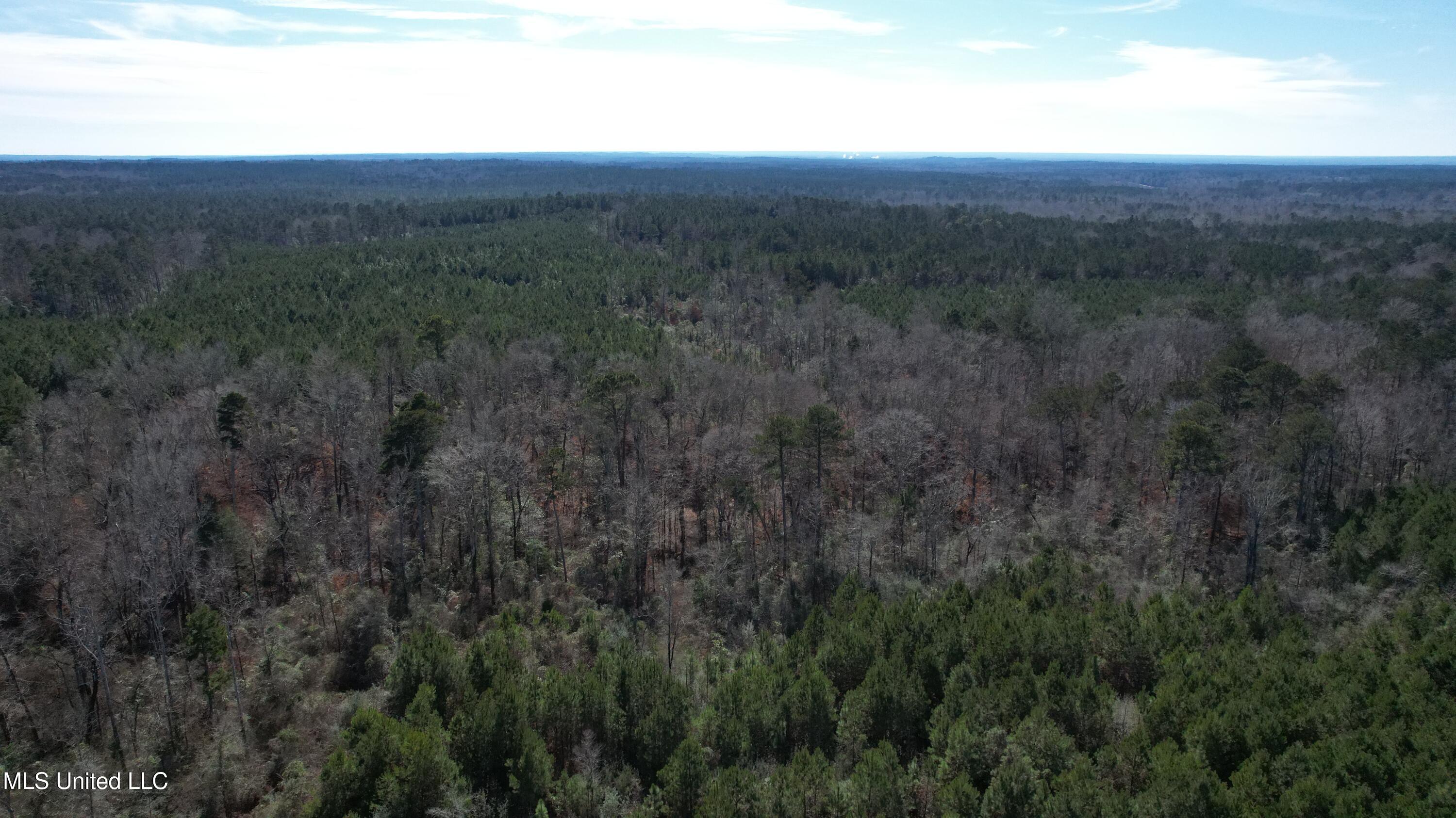 Crooked Creek Road Newhebron, MS 39140 - Photo 4 of 26 DJI_0107
