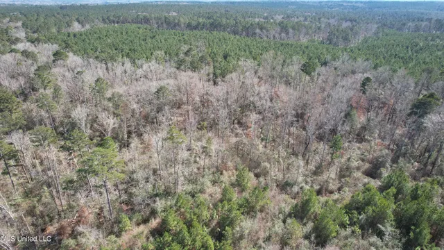 $345,000 | Crooked Creek Road, Newhebron, MS 39140