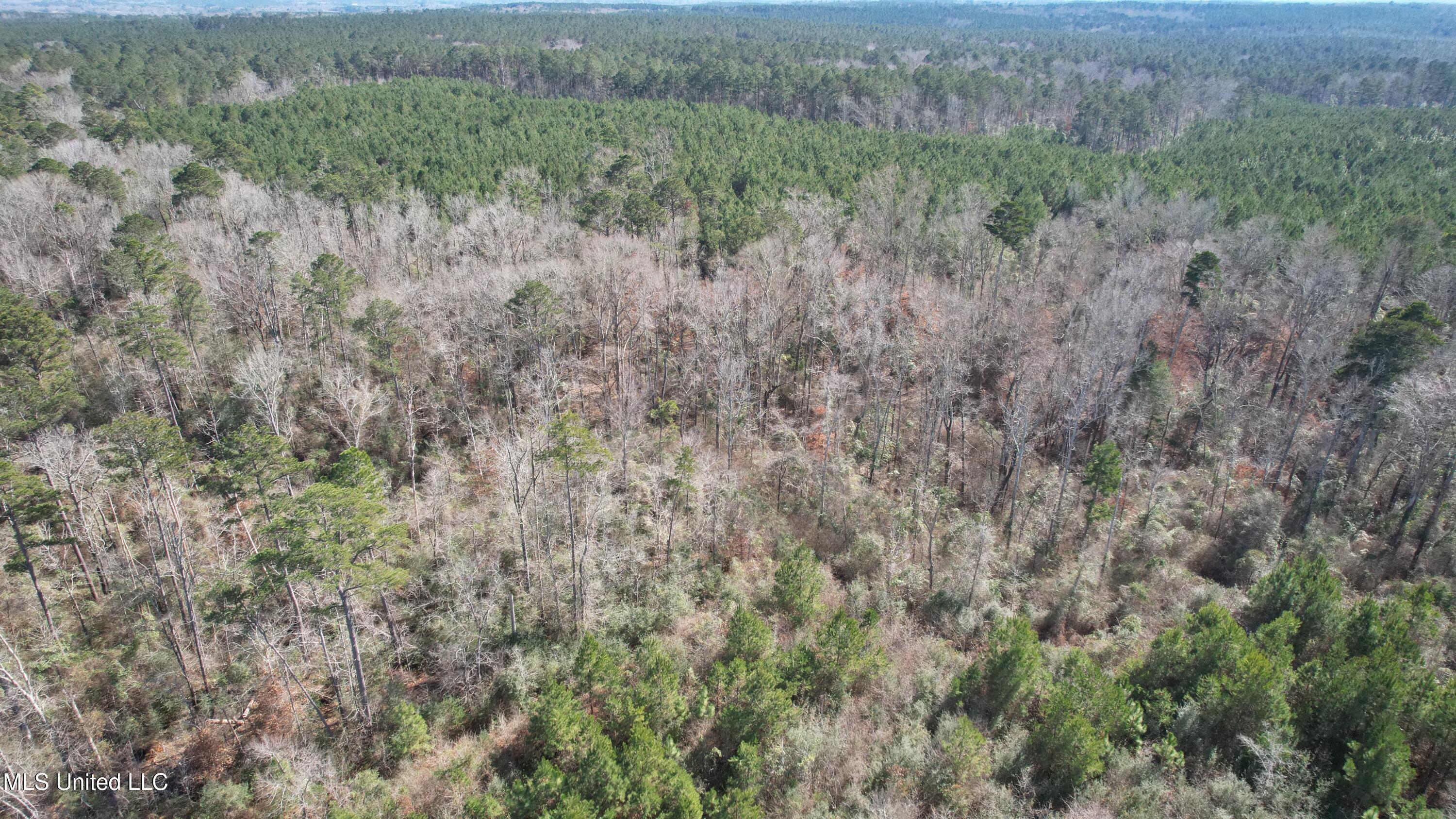 Crooked Creek Road Newhebron, MS 39140 - Photo 5 of 26 DJI_0109