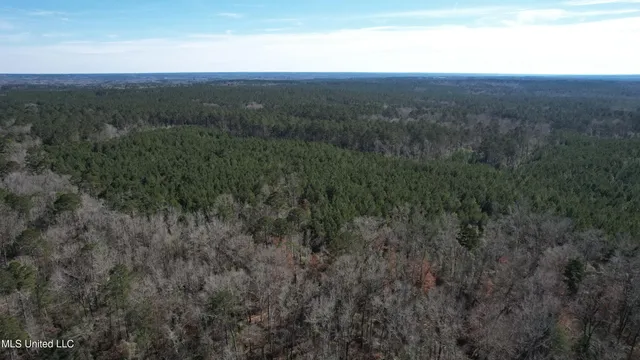 $345,000 | Crooked Creek Road, Newhebron, MS 39140