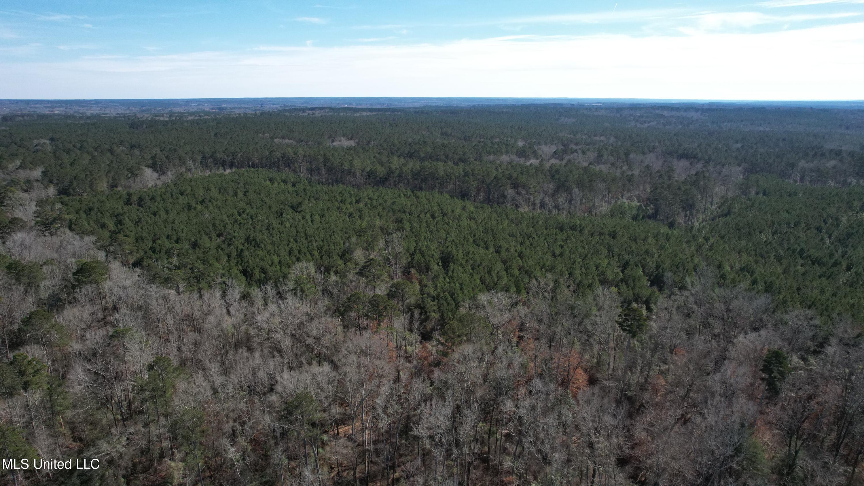 Crooked Creek Road Newhebron, MS 39140 - Photo 6 of 26 DJI_0110