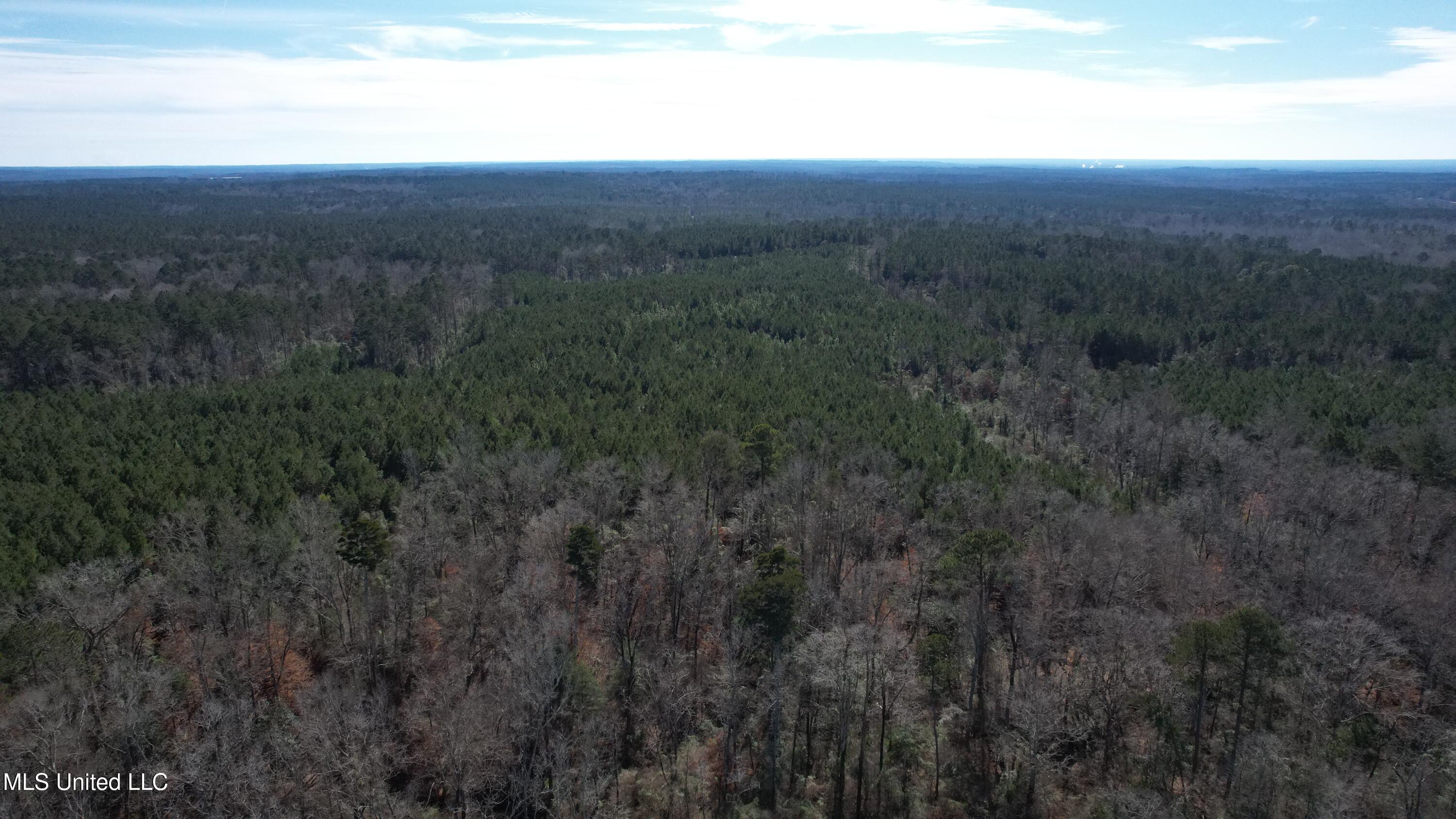 Crooked Creek Road Newhebron, MS 39140 - Photo 7 of 26 DJI_0111