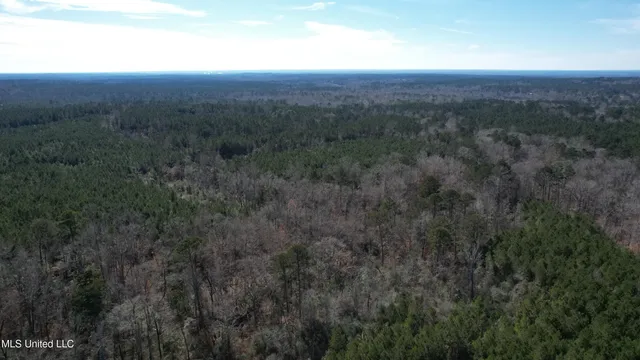 $345,000 | Crooked Creek Road, Newhebron, MS 39140