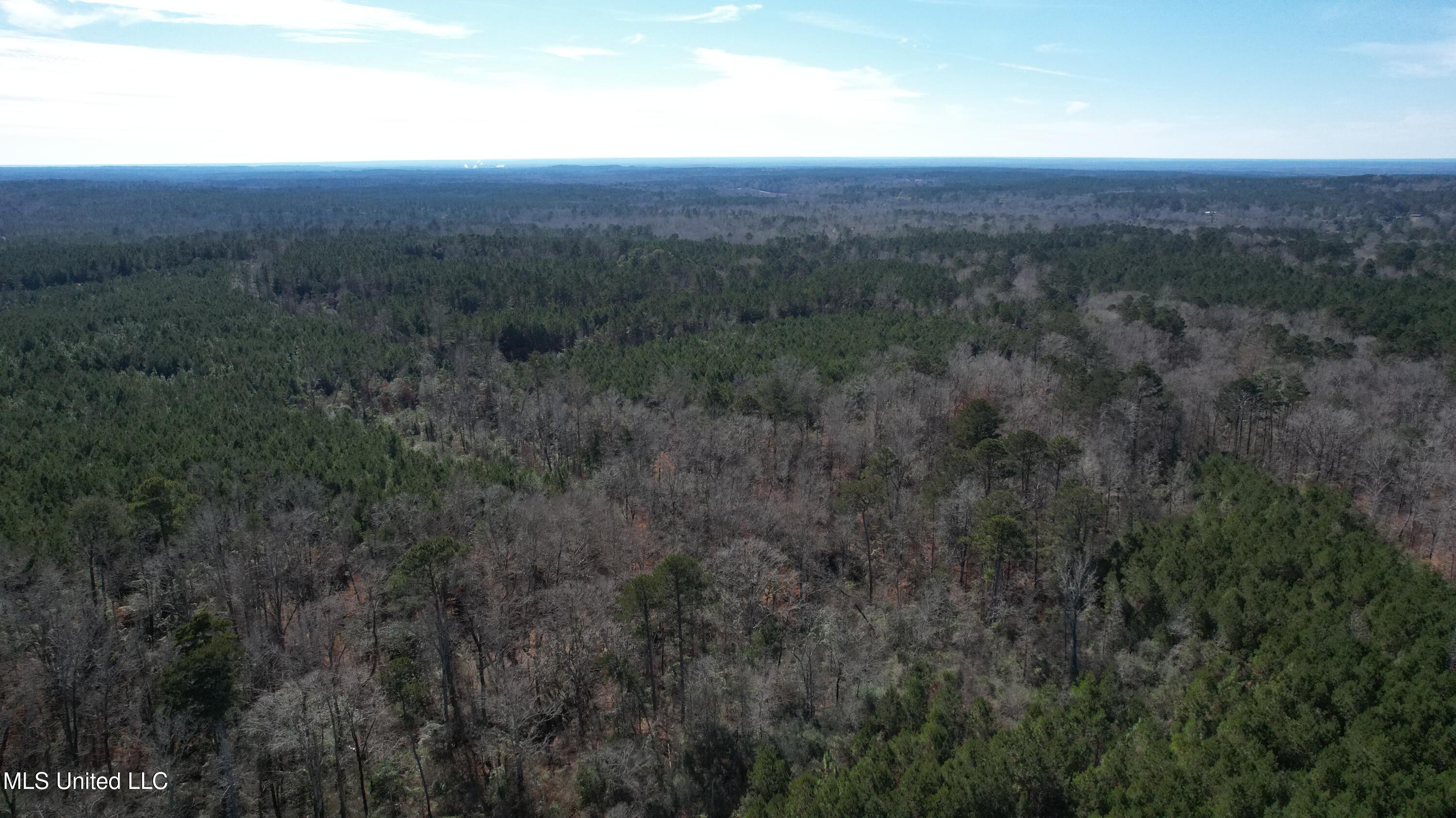 Crooked Creek Road Newhebron, MS 39140 - Photo 8 of 26 DJI_0112