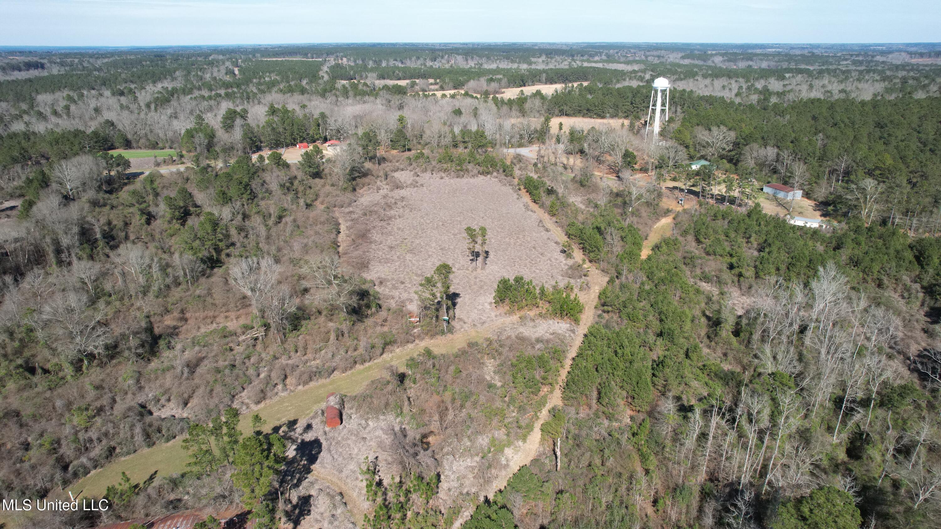 Crooked Creek Road Newhebron, MS 39140 - Photo 10 of 26 DJI_0114