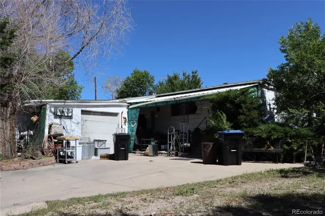 a view of a backyard with plants and trees