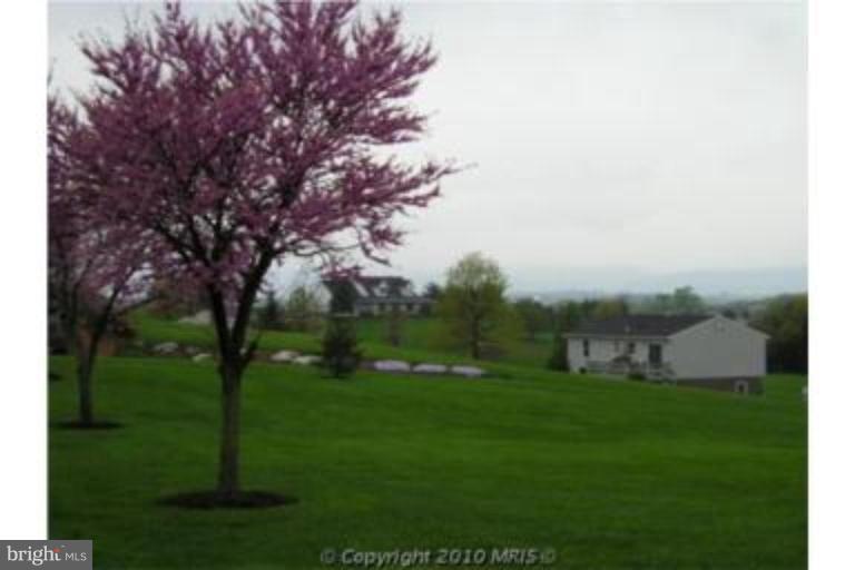 13046 Independence Road Clear Spring, MD 21722 - Photo 18 of 26 a view of a golf course with a garden
