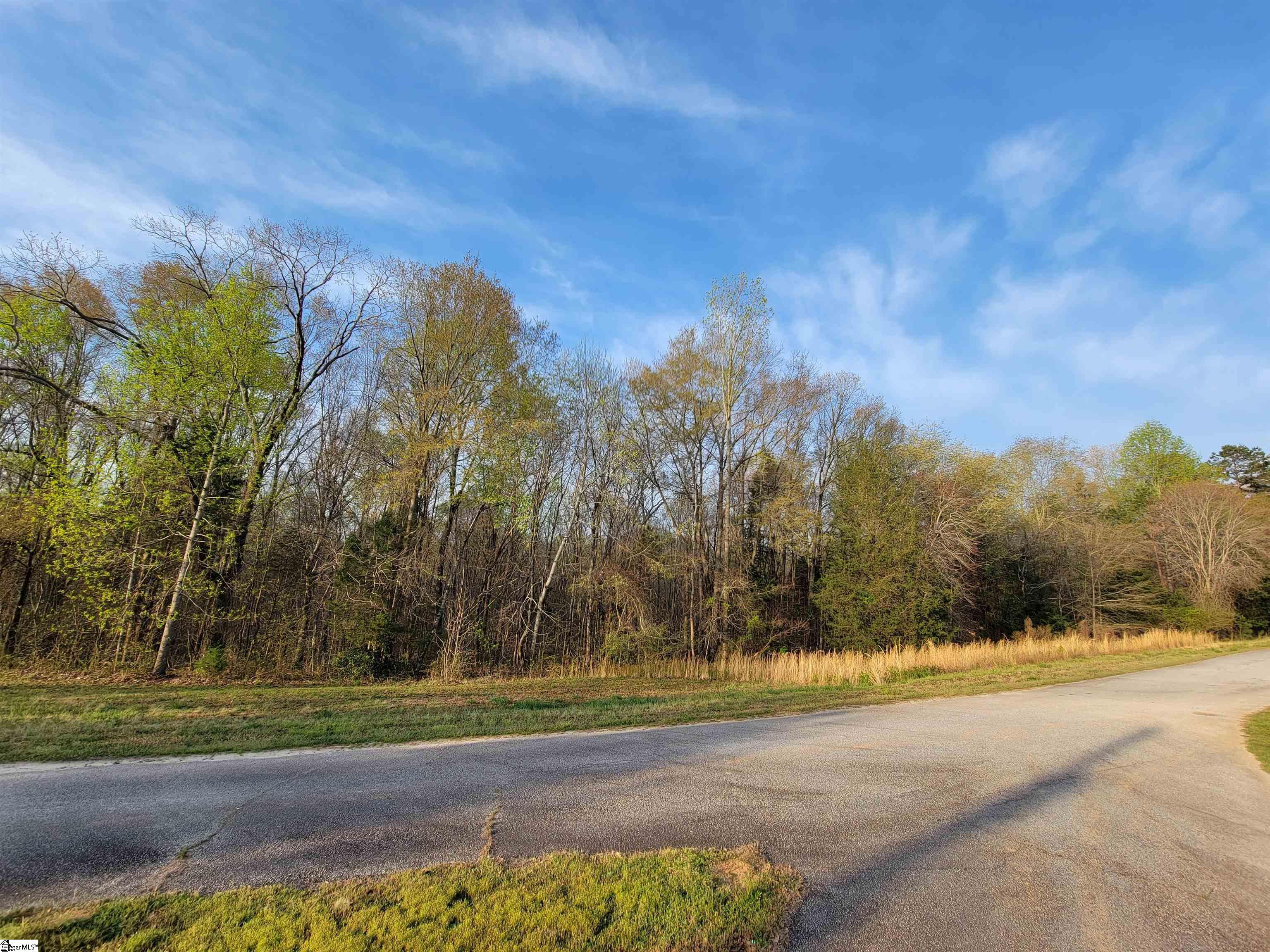 Beech Branch Road Gray Court, SC 29645 - Photo 1 of 12